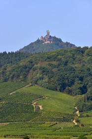 France, Artzviller