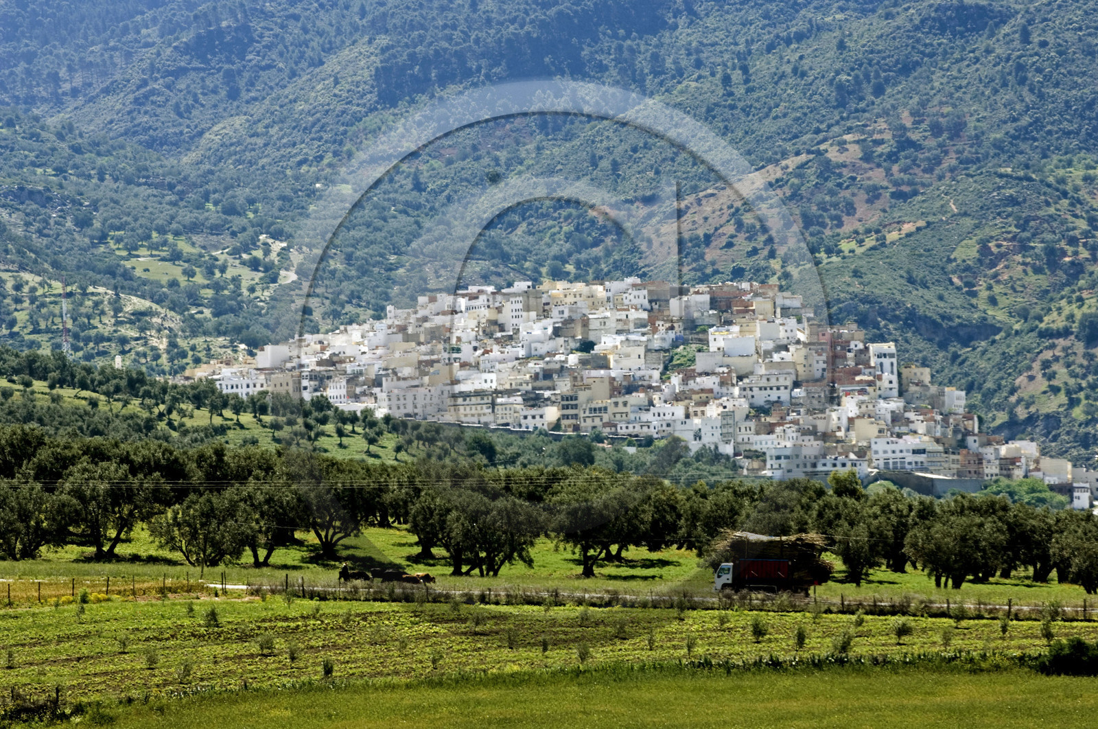 Moulay, Maroc