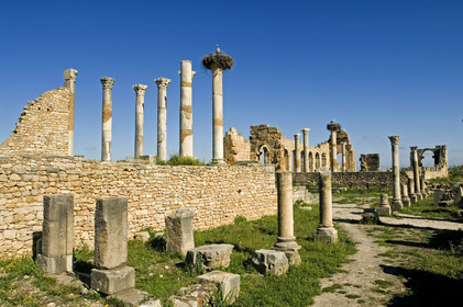 Volubilis, Maroc