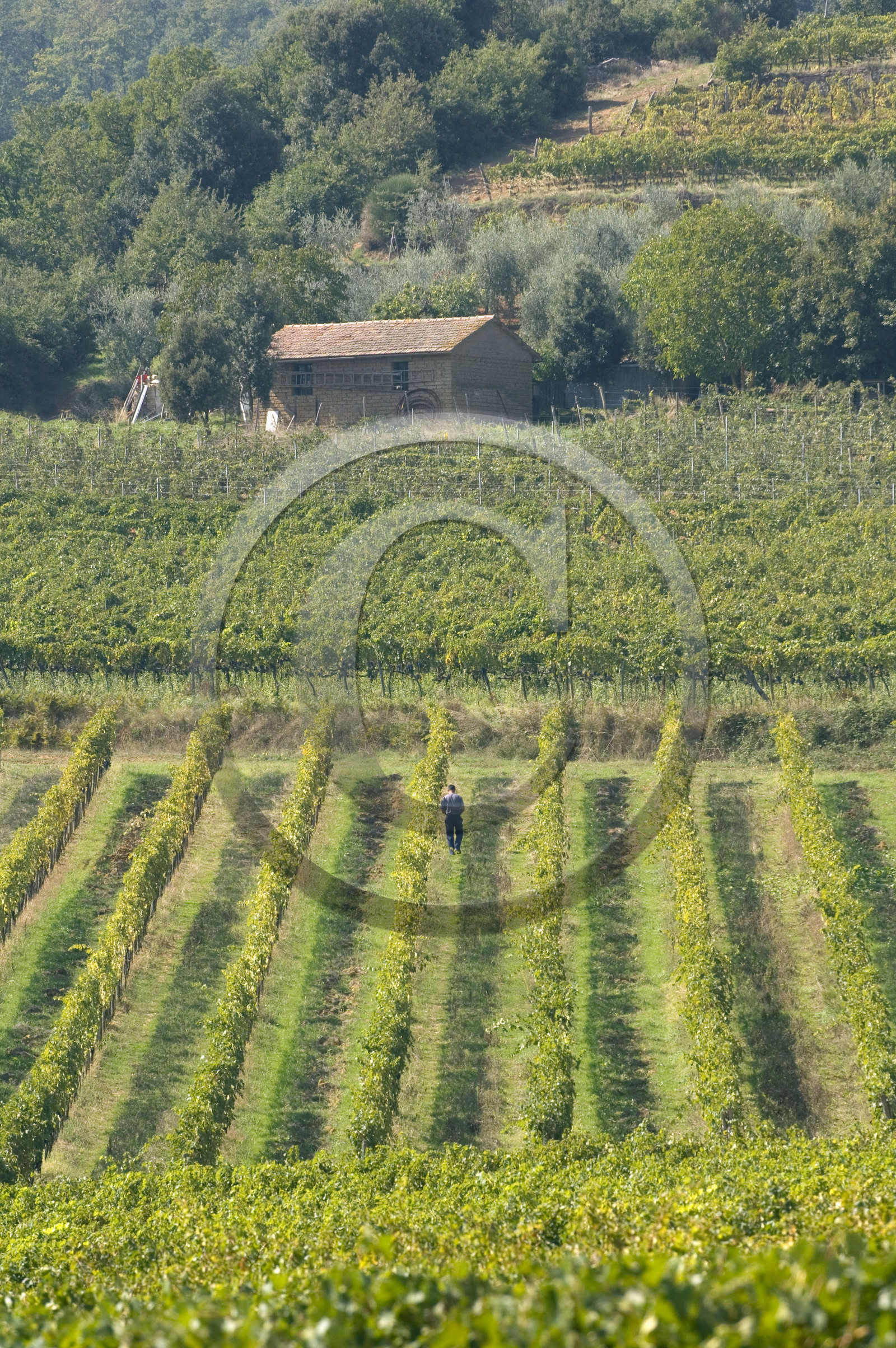 Toscana, Italia
