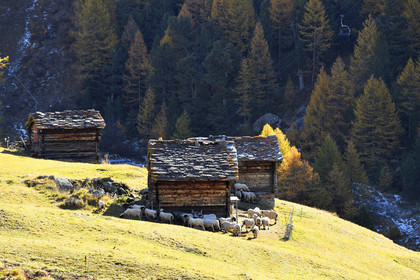 Suisse, Zermatt