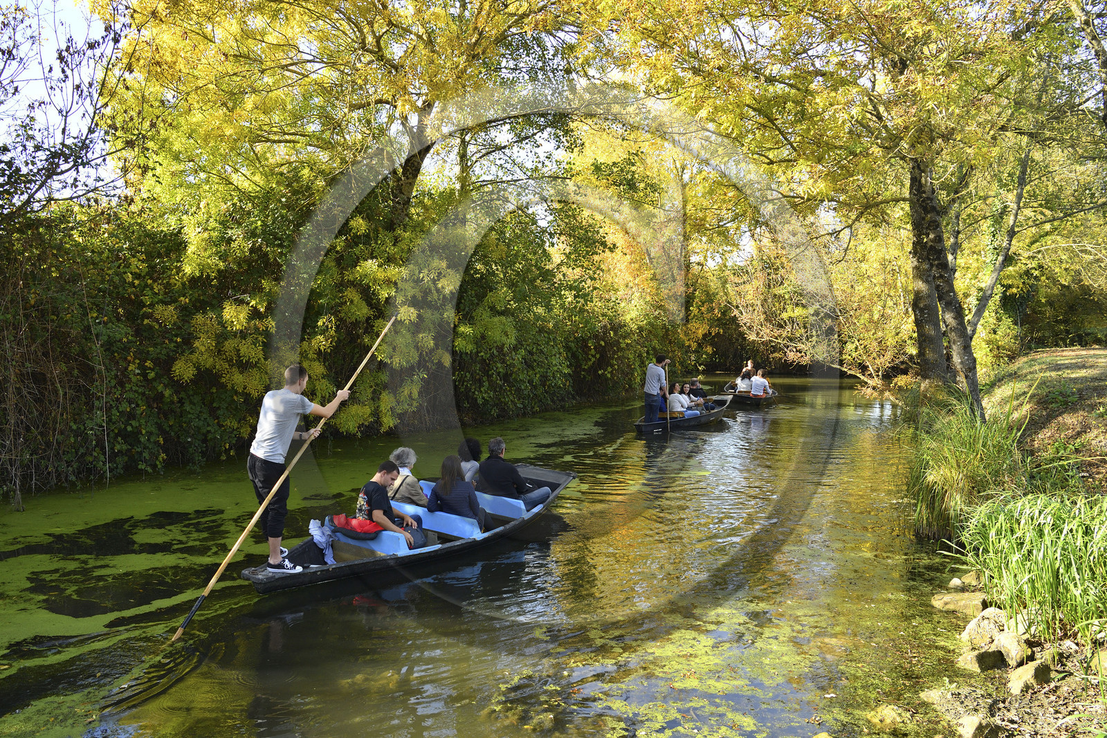 France, Marais Poitevin