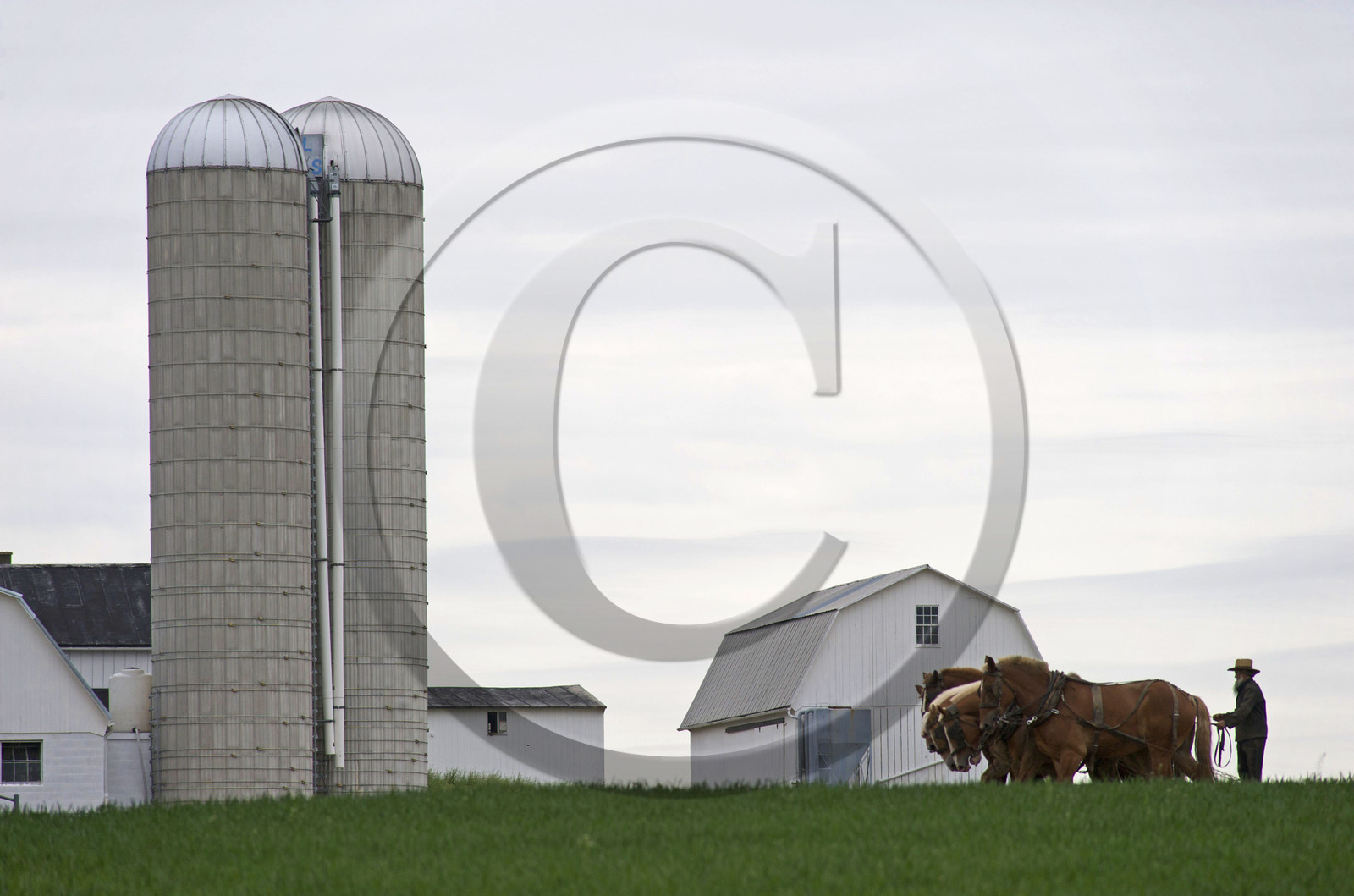 USA, Amish