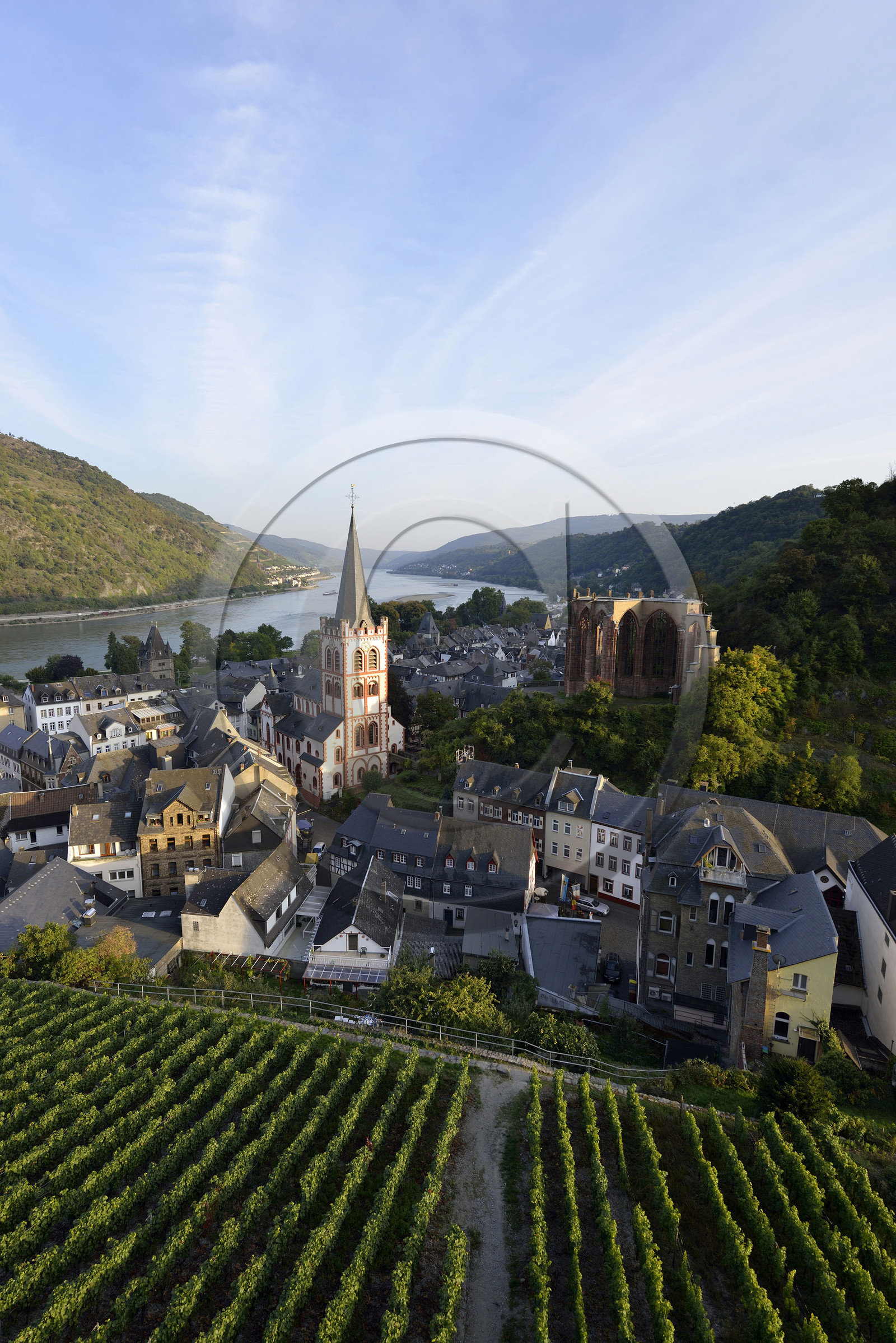 Allemagne, Rhin