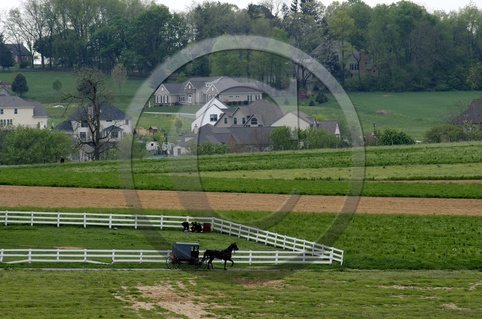 USA, Amish