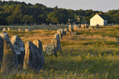 France, Carnac