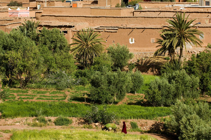 Morocco, Ait Benhaddou
