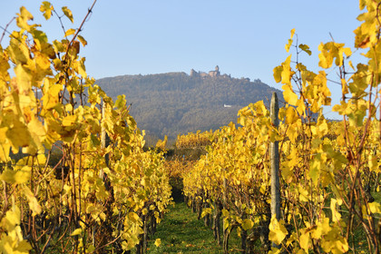 France, Koenigsbourg