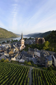 Allemagne, Rhin