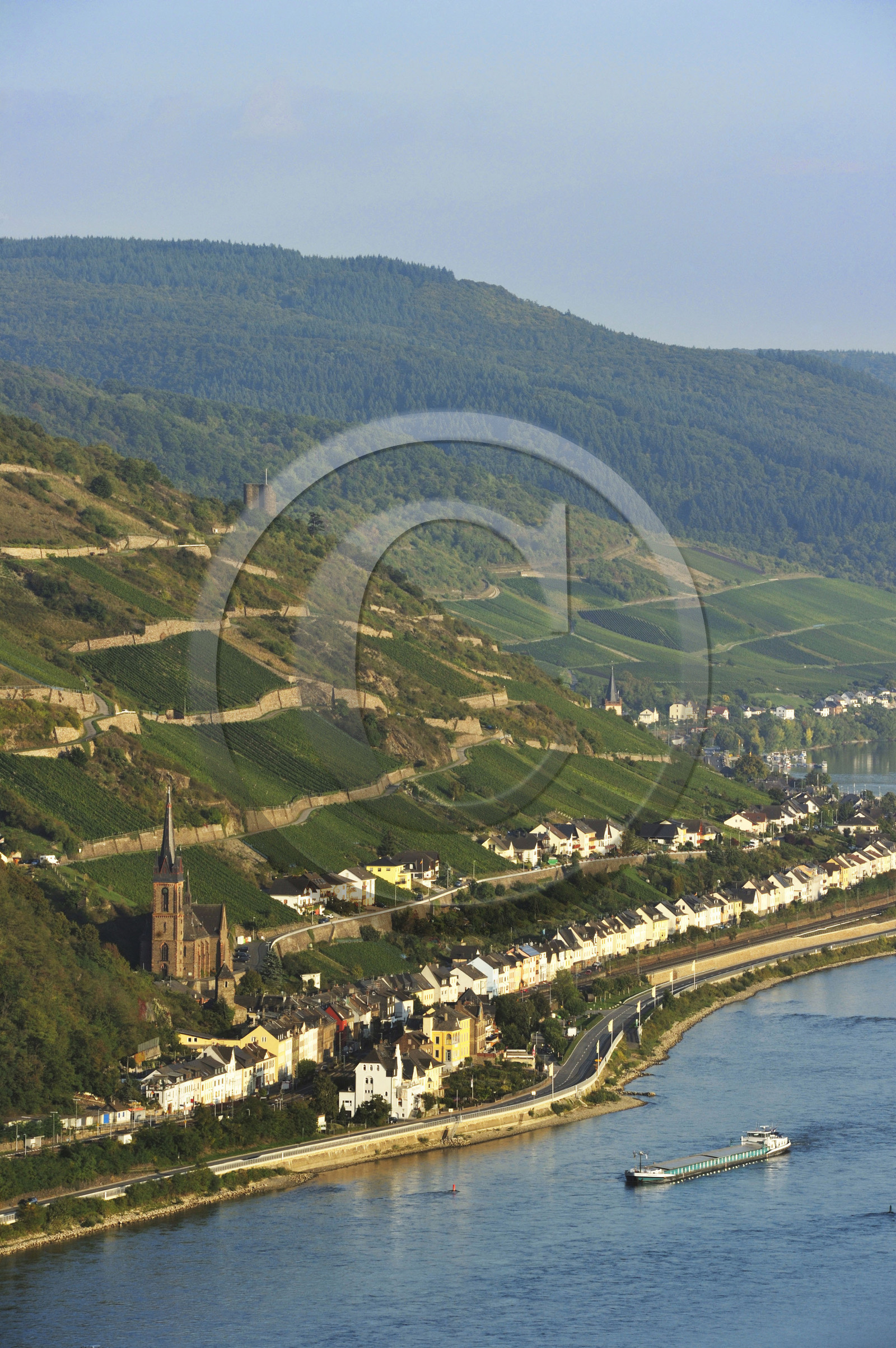 Allemagne, Rhin
