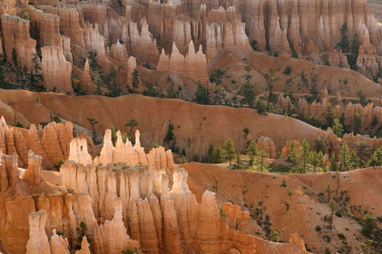 USA, BRYCE CANYON