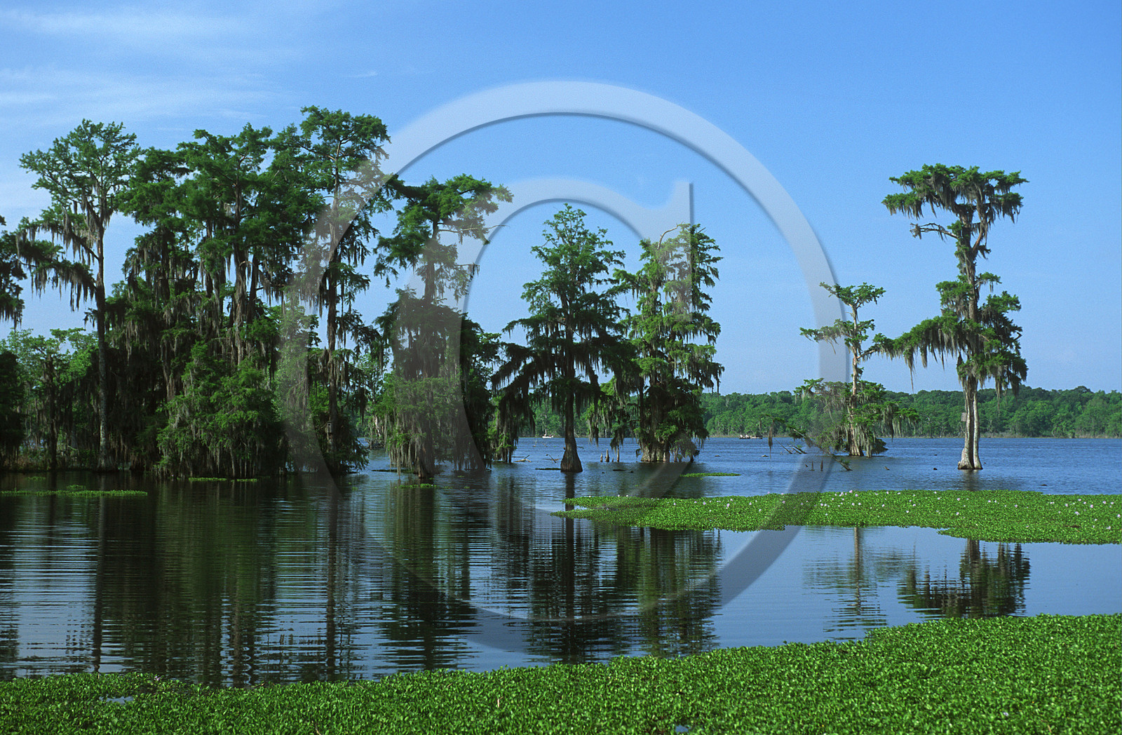 Louisiane, USA