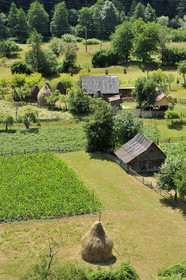 Roumanie, Apuseni