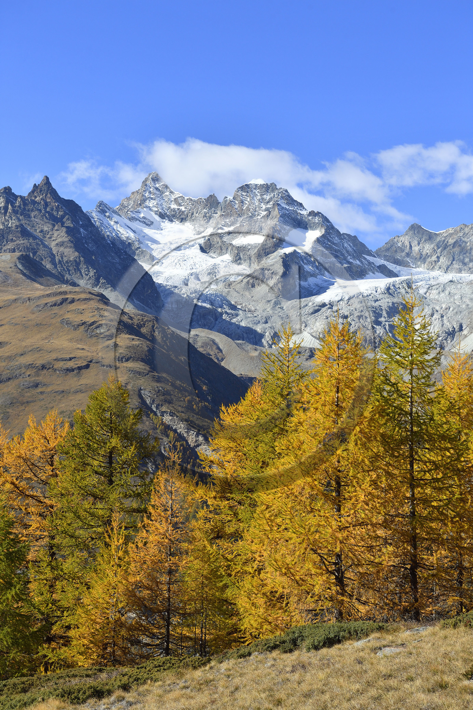 Suisse, Zermatt