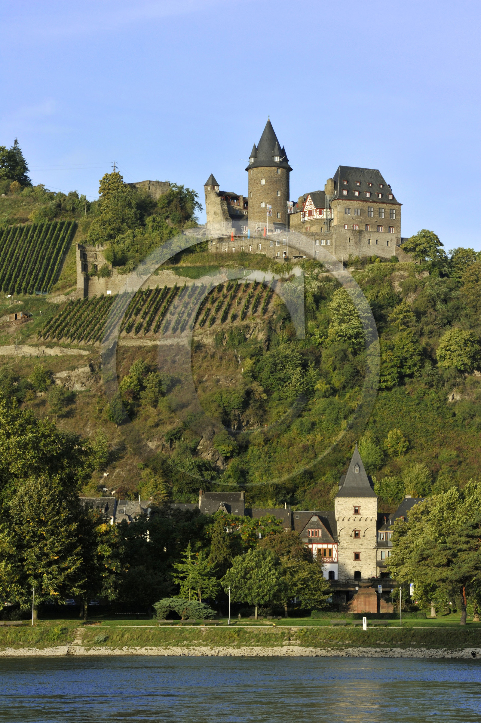 Allemangne, Rhin