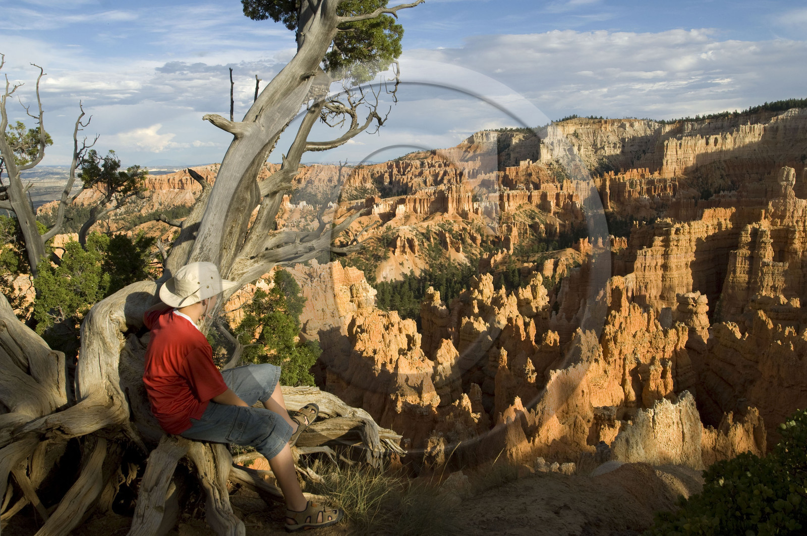 USA, BRYCE CANYON