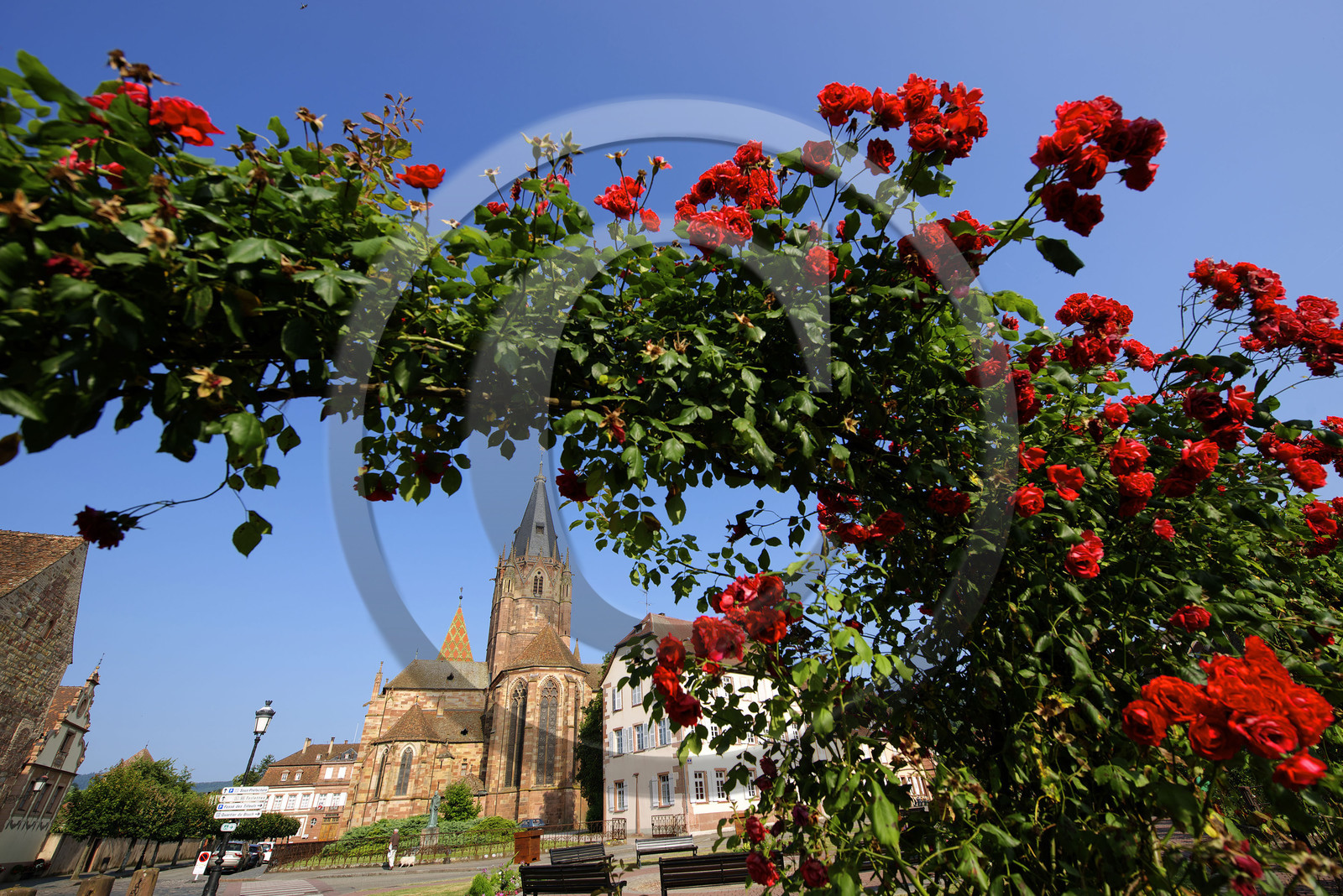 France, Wissembourg