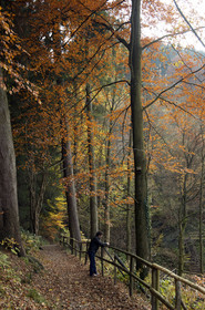 Allemagne, Monschau