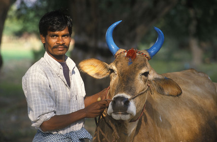 Inde du Sud