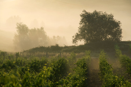 Italie, Toscane