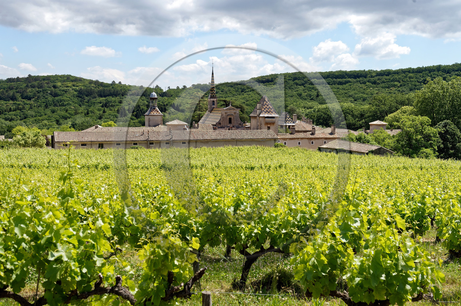 France, Valbonne