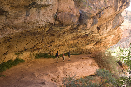 USA, ZION