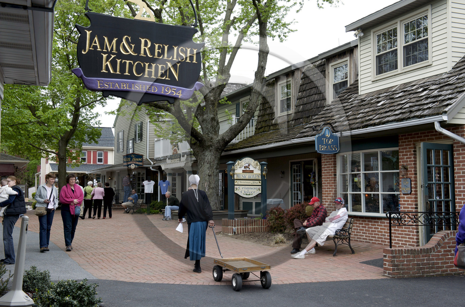USA, Amish