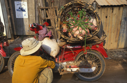 Siem Reap.Cambodge
