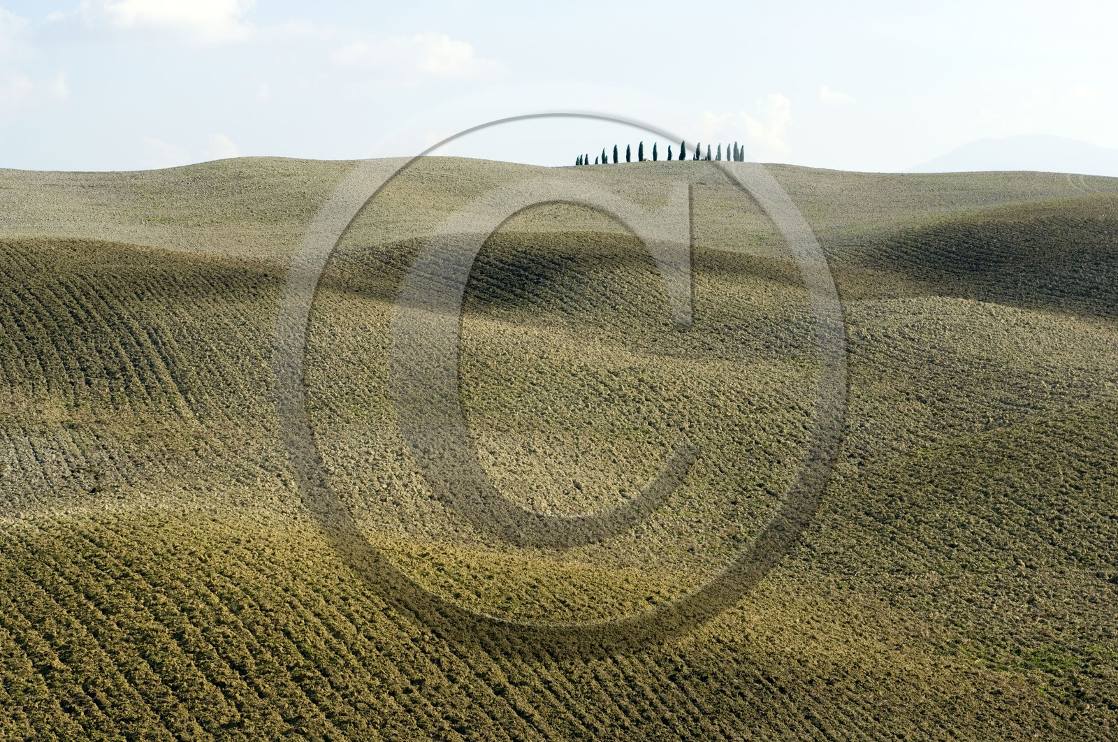 Toscana, Italia