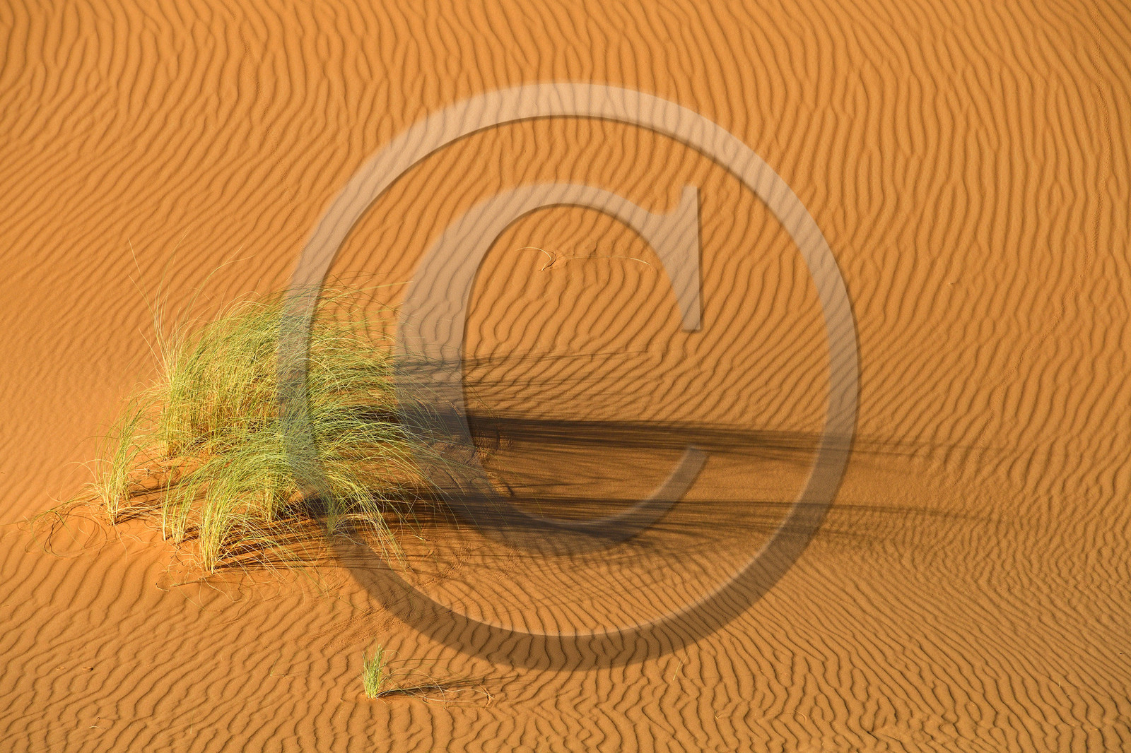 Maroc, Merzouga