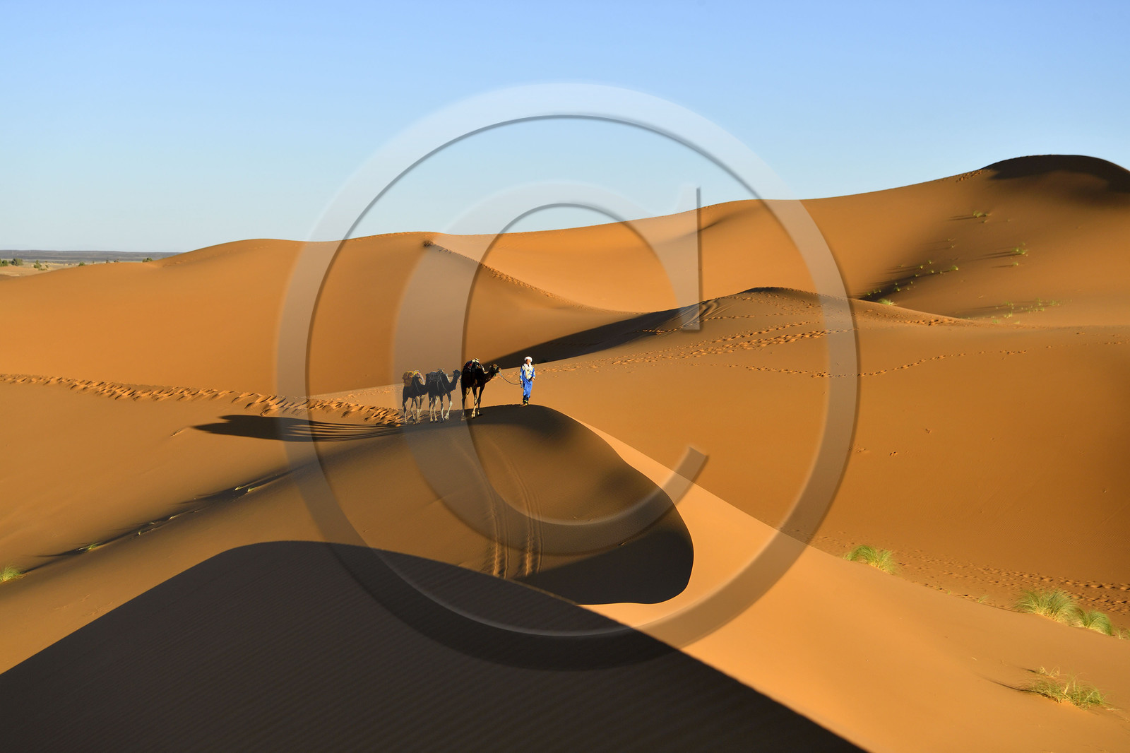 Maroc, Merzouga