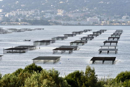 France, Thau