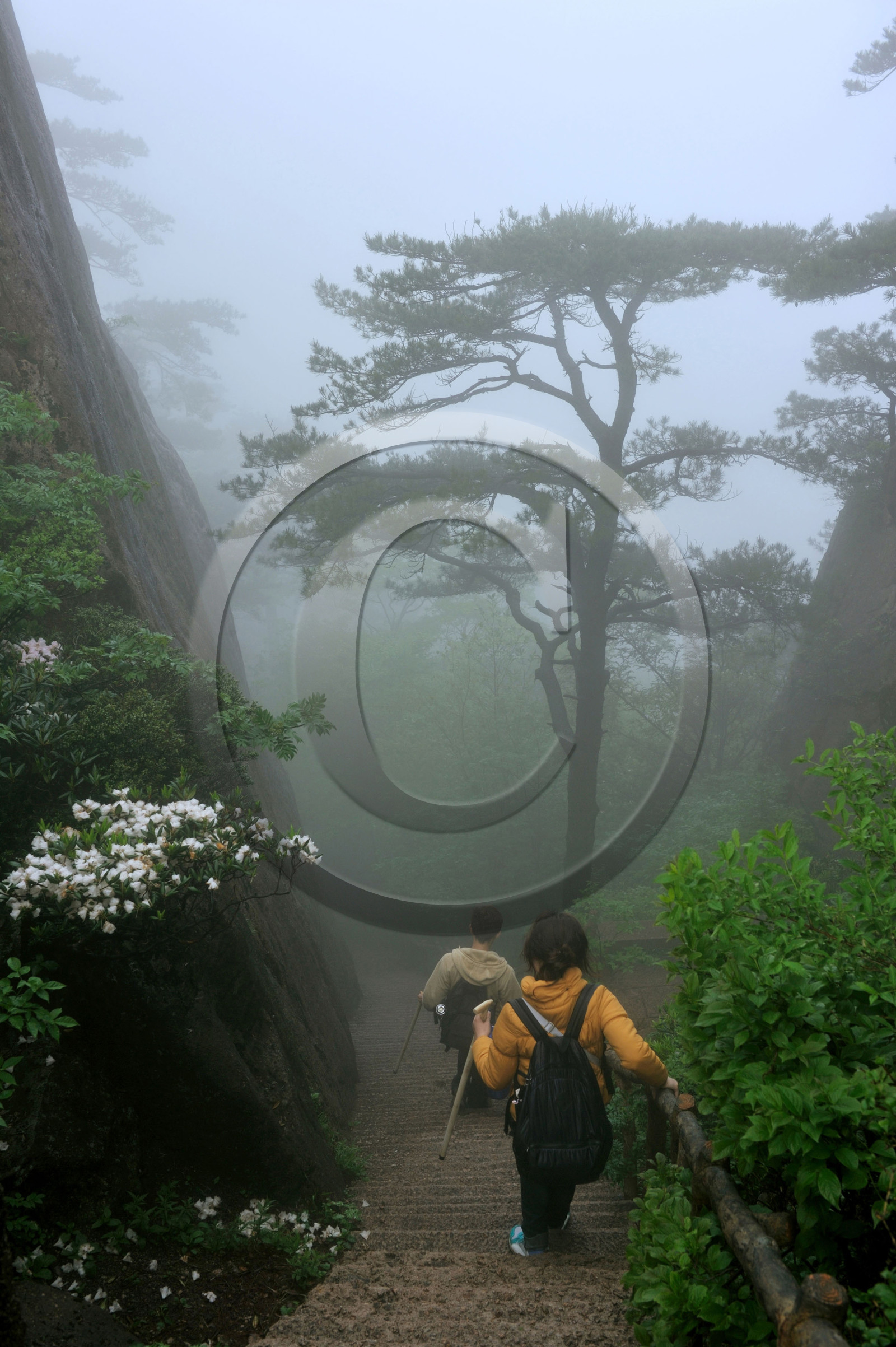 Chine, Huang Shan