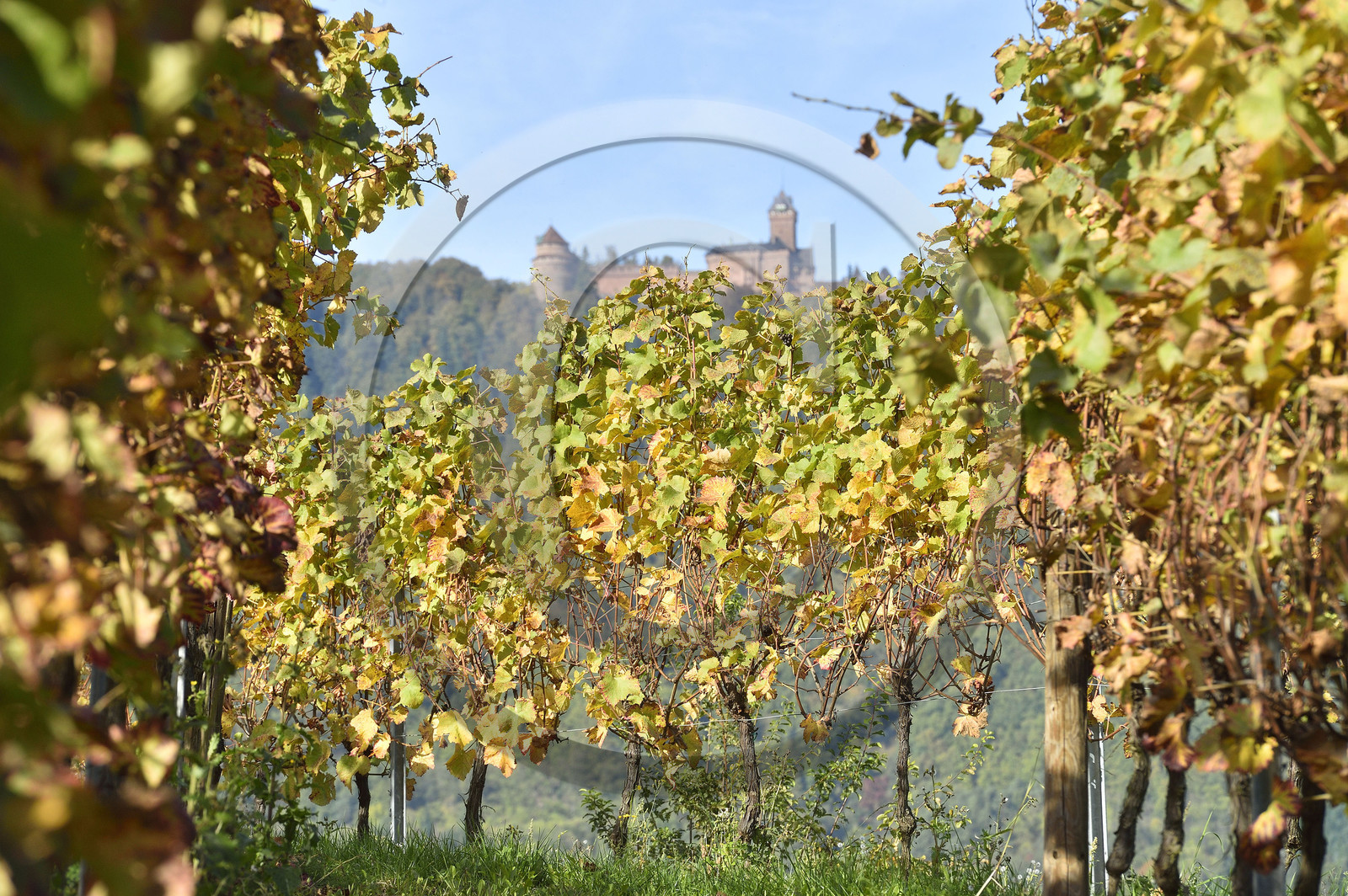 France, Strasbourg
