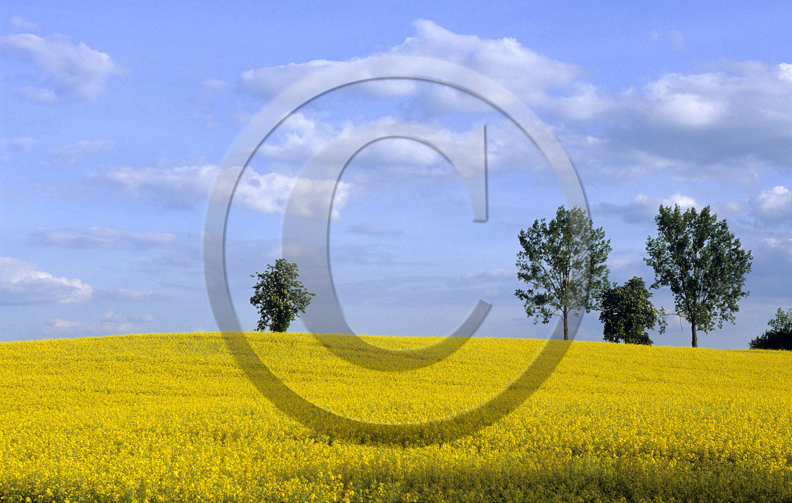 Mazurie, Pologne