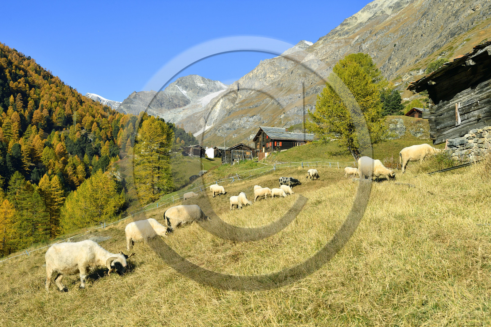 Suisse, Zermatt