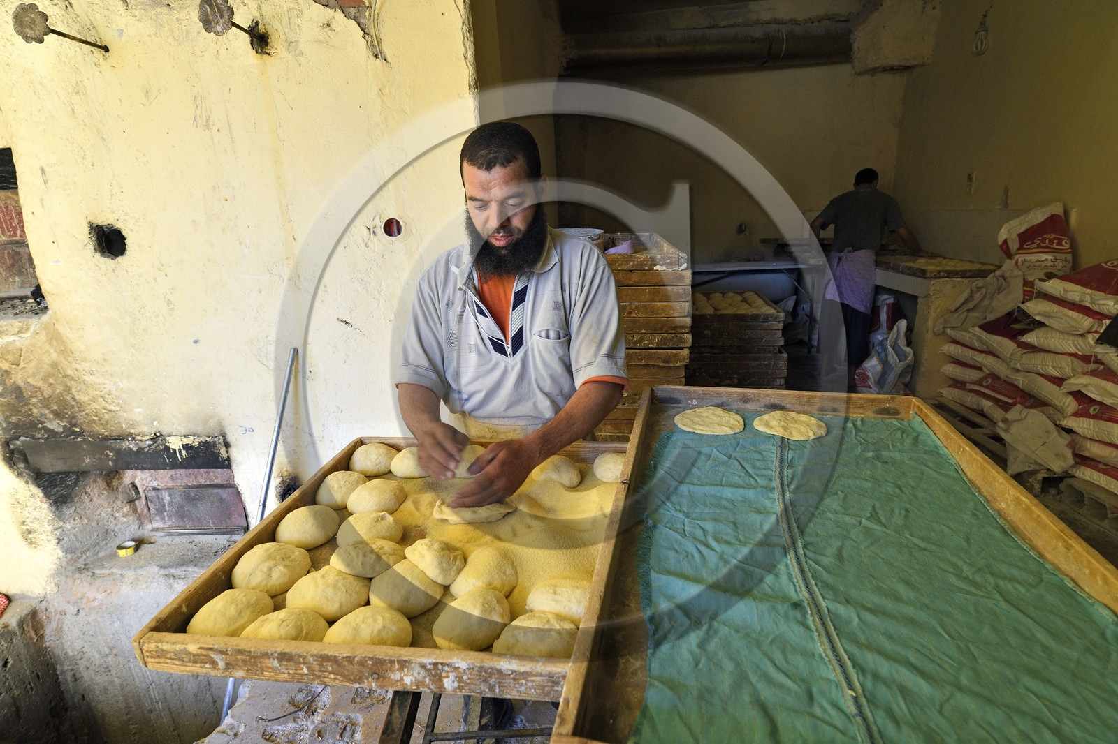 Maroc, Tameslohte