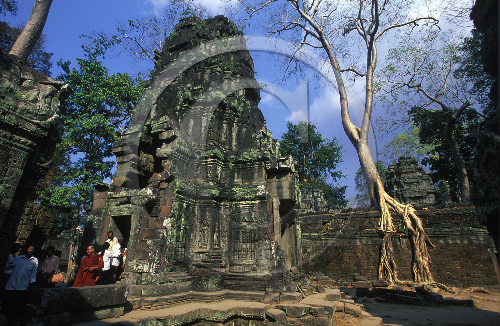 Angkor. Cambodge