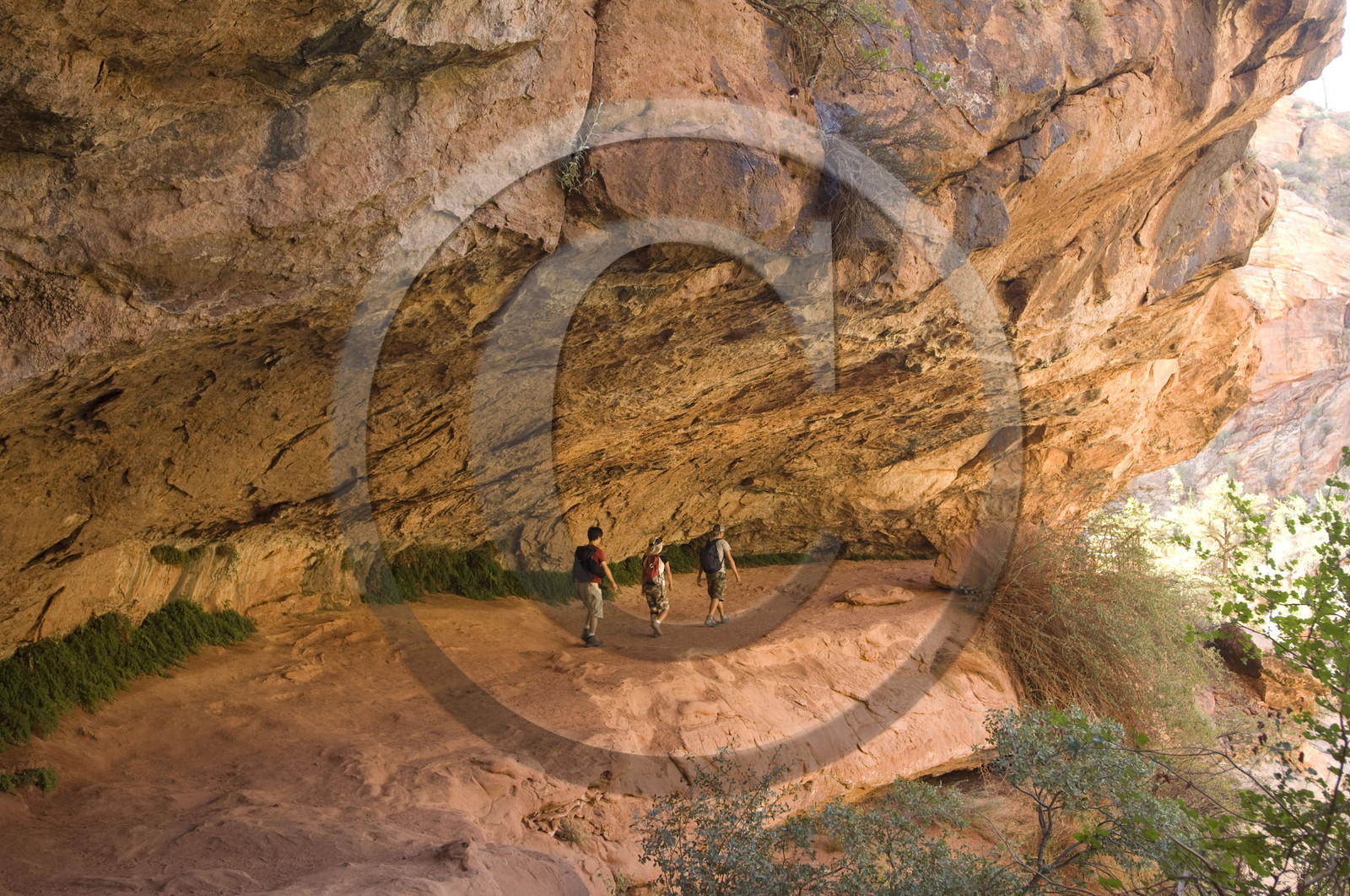 USA, ZION