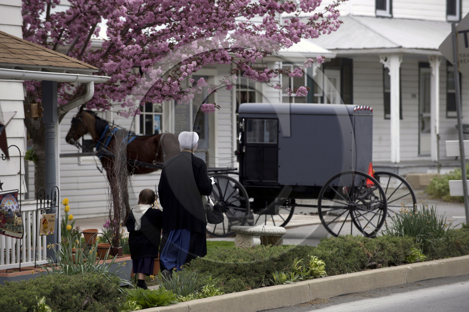 USA, Amish