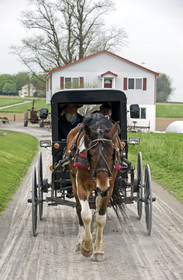 USA, Amish