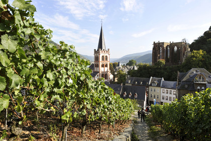 Allemagne, Rhin