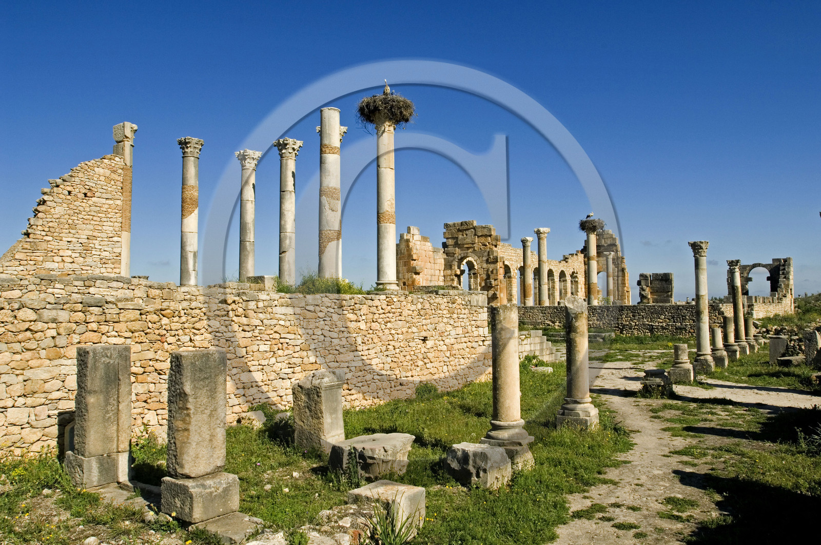 Volubilis, Morokko