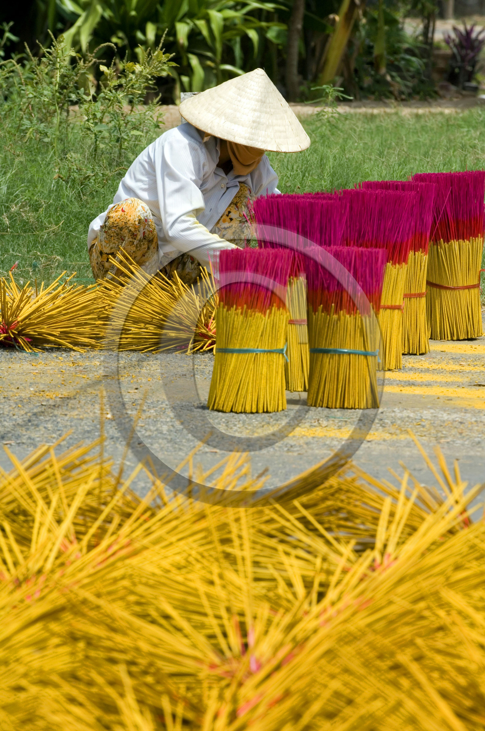 DELTA DU MEKONG, VIETNAM