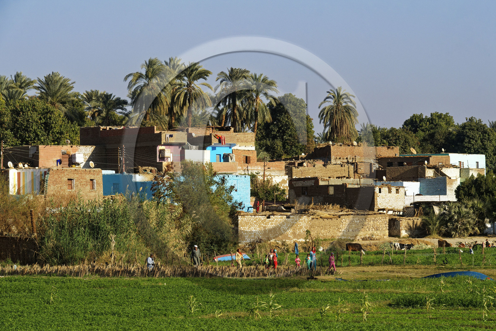 Egypte, Nil