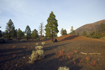 USA, SUNSET CRATER