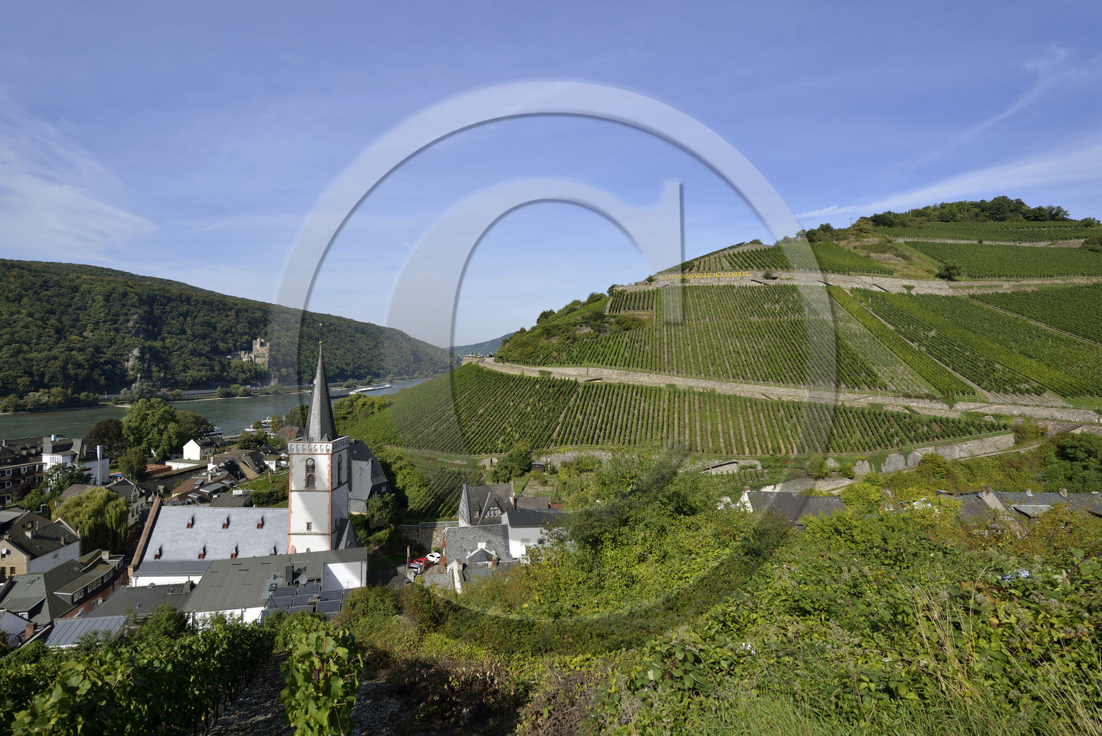 Allemangne, Rhin