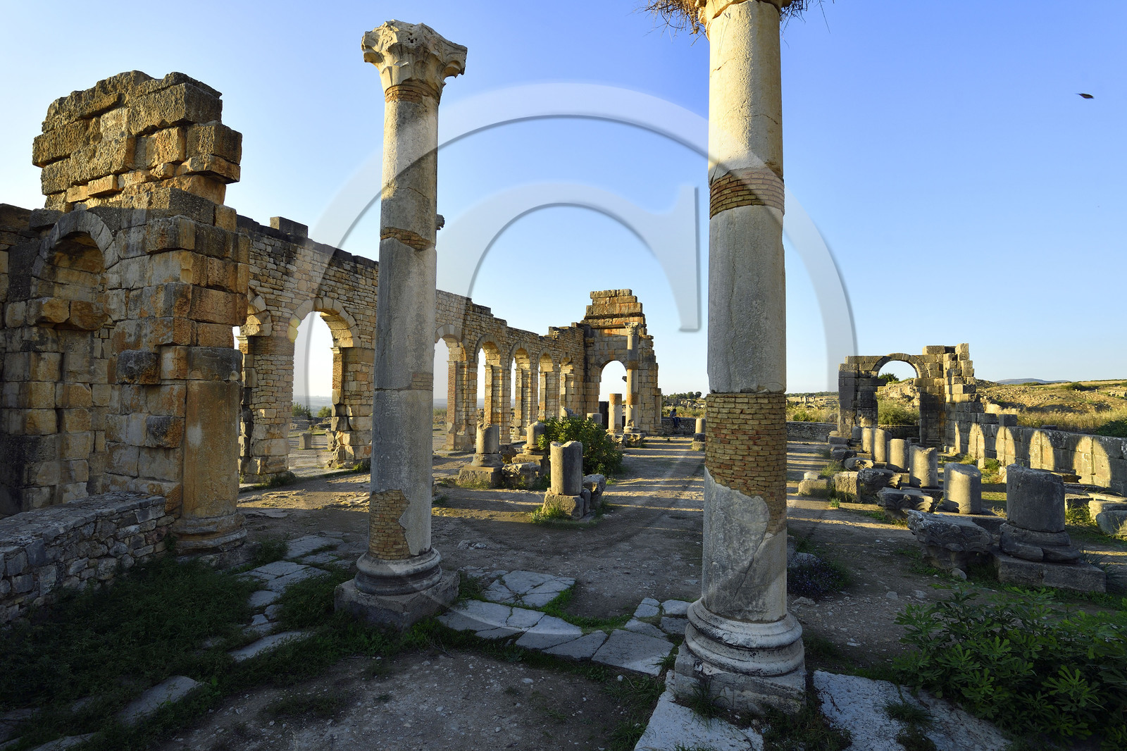 Maroc, Volubilis