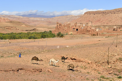 Maroc, Tamdaght