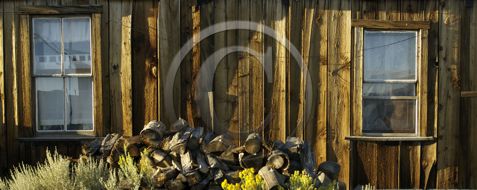 USA, BODIE
